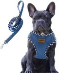 Aiminto Premium Denim Dog Harness a