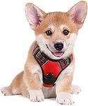 rabbitgoo Dog Harness Small Dog No Pull Pet Harness with 2 Leash Clips, Adjustable Soft Padded Pet Vest Harness, Reflective No-Choke with Easy Control Handle for Training or Walking, Red, S