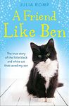 A Friend Like Ben: The true story of the little black and white cat that saved my son