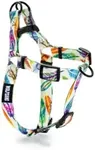 Wolfgang Premium No Pull Dog Harness, Dog Harness Medium Sized Dog, Durable Nylon with Quick Clip Buckles, for Training & Daily Use, Made in USA, FeatheredFriend Print, (5/8 Inch x 16-24 Inch)