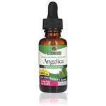 Nature's Answer Angelica Root Extract