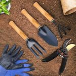 Robustt Gardening Tools Kit for Home Garden - Trowel, Hand Cultivator, Garden Fork, Scissors, Gardening Gloves - Essential Set for Gardening Enthusiasts