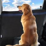 Durapower Dog Car Door Protector丨 2