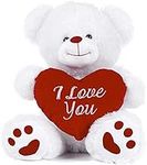 White Teddy Bear Holding Red Heart 