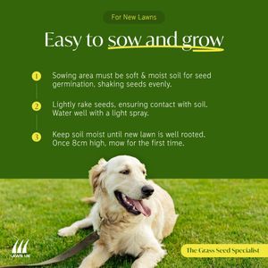 Lawn UK Hardwearing Grass Seed 500g – Durable Lawn Repair