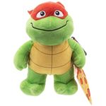 Hasbro Friends Turtles