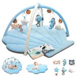 Suihuooo Baby Play Mat, Ocean Shell Theme Playmats & Floor Gyms, Baby Play Gym with 6 Detachable Activity Toys, Early Sensory Development Play Mat for Infant & Newborn (Blue)