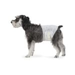 Amazon Basics Male Dog Diapers, 50 Count, Medium, Ultra Absorbent Disposable Wrap with Secure Fit, Leakproof and Comfortable