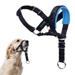 ILEPARK Dog Head Collar with Safety Strap, Head Harness for Dogs to Stop Pulling, Adjustable and Easily Control (S, Lake Blue)