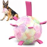 HETOO Dog Toys Soccer Ball with Straps, Durable Dog Balls for Tug of War, Puppy Birthday Gifts, Dog Water Toy Small Dogs-Rainbow（9 Inch）