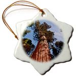 3dRose Snowflake Ornament - California, Sequoia National Park, Giant Sequoia ascends to The Sky - 3-inches (ORN_250654_1)