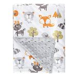 SGAVAHSG Baby Blanket for Newborn Toddler Boys and Girls Swaddle Blanket 75x100cm (Fox)