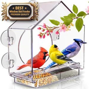 Premium Window Bird Feeder for Outside - Clear Bird House w/Largest Window for Viewing Birds - Easy to Install & Sturdy Feeder w/Extra Strong Suction Cups - Perfect for Kids, Adults and Cats