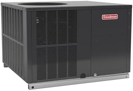 Goodman 3.