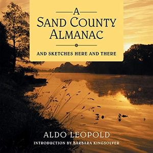 A Sand Cou