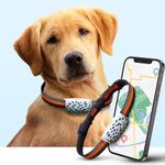 Acumen Track Pet Tracker Wireless GPS Tracker for Dog with Voice Monitoring, GeoFence, Inbuilt Battery 800 Mah Mini GPS Device with one Year Replacement Warranty, Water Resistance GPS Tracker