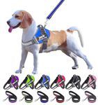 Moonpet Personalized No Pull Dog Harness Leash Set with Custom Name and Phone Number, Heavy Duty Pet Vest to Prevent Tugging, Pulling, or Choking, Training and Walking (XS-XXL, 9 Colorful)…