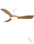 Ceiling Fan With Foldable Blades