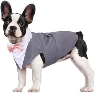 Kuoser Dog