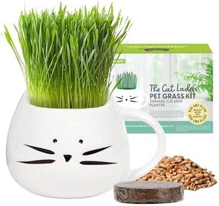 The Cat Ladies Hierba Gatera para Gatos - Kit Hierba para Gatos con Semillas Hierba Gatera para Interiores con 1x Disco de Tierra y 1x Taza con Forma de Gatito - Set Hierba Gatos