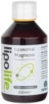 lipolife liposomal Magnesium Supplement. Highly absorbable. Gentle on the stomach. 48 servings. For optimal energy, muscle health, brain health and general immune support. LLM1. Magnesium Bisglycinate