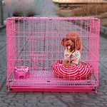 PetzLifeworld 18 Inch (1.5 Feet) Small Puppy/Rabbit Cage with Removable Cleaning Tray (Pink)