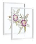 Sonefreiy 11x14 Floating Picture Frame Set of 2, Picture Frames with Tempered Glass for Wall, 8x10 5x7 Pressed Flower Frames, Wood White Double Glass Photo Frame,Mothers Day Gifts, Wedding Gifts for Family Friends