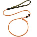 BeauGo Slip Leads for Dogs, 2-in-1 No-Pull Training Dog Leash, 6ft Orange Nylon Slip Leash, Suitable for Small, Medium, and Large Dogs