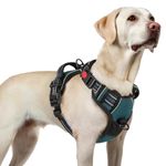 rabbitgoo Dog Harnesses for Large Dogs, No Pull Pet Harness with 3 Buckles, Adjustable Soft Padded Vest with Instant Control Handle, Easy Walking Reflective Pet Vest, Blue Coral, L