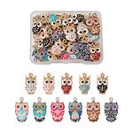 Beadthoven 33pcs 11 Styles Owl Enamel Charms Cute Bird Animal Lucky Dangle Pendants for Jewelry Crafts Making Earrings Bracelets Necklace