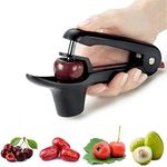 Ruibo Cherry Pitter Tool and Olive 