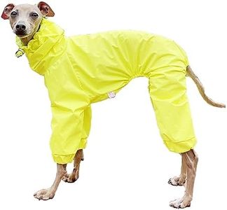 D Doggy St