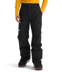 The North Face Men's Freedom Insulated Pant | Waterproof Snow Pants for Ski & Snowboard, Ankle Gaiters, Adjustable Waist, TNF Black-NPF, Large Regular