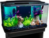 GloFish Glass Aquarium Kit, 20 Gall