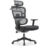 VEOSU Ergonomic Office Chair, High 