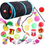 22 Pcs Cat Toys Interactive for Indoor Cats Tunnel Mouse Kitten Toys Cat Feather Teaser Wand Spring Toy