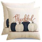 RABUSOFA Fall Decorations Pillow Covers 16X16 Set of 2,Autumn Outdoor Pumpkin Pillow Cases,Thanksgiving Thankful Farmhouse Harvest Pillows Decorative Throw Pillows for Couch Decor（L）