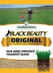 Jonathan Green 40318 Black Beauty Grass Seed, 5 lb