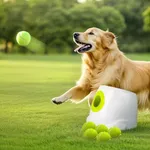 ALL FOR PAWS Automatic Ball Launche