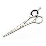 Wahl Hairdressing Styla Scissors 6.