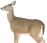 MONTANA DECOY 23 Dreamy Doe Whitetail Decoy, Brown