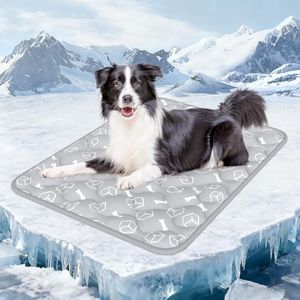 Rywell Dog