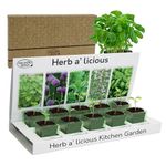 Pronto Seed Grow Your Own Herbs Kit with 5 Seeds Varieties - Indoor Growing Set - Mint, Chives, Parsley, Thyme, Basil Seeds - Gift for Women, Men - Beginner-Friendly (Herbs Kit)