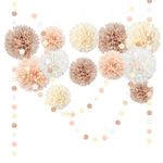 NICROHOME Wedding Party Decorations Set, 15PCS Ivory White Tissue Paper Pom Poms, Dots Paper Garland String Hanging Backdrop for Wedding Birthday Baby Shower Prom Festival Decoration