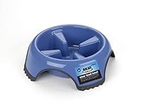 JW Pet Company SkidStop Slow Feed Dog Bowl, Medium (Colors Vary)