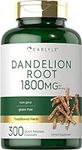 Carlyle Dandelion Root | 1800mg | 3