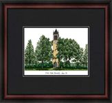 NCAA Iowa State Cyclones Academic Framed Lithograph