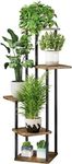 Snazzy Plant Stand 5 Tier Indoor Metal Flower Shelf for Multiple Plants Corner Tall Flower Holders for Patio Garden Living Room Balcony Bedroom, Black (5 Tier-Black)