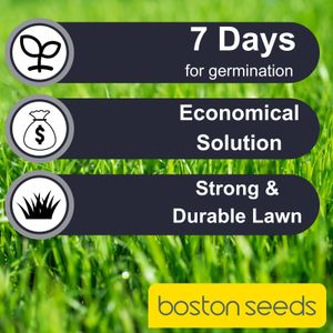 Boston Seeds Fast Growing Grass Seed, Hard Wearing – 10kg Eco Lawn