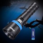 XTAR DS1 Scuba Dive Light,1000 Lumens Powerful Spearfishing Torch,Magnetic Slide Switch, for Underwater 100 Meters Night Diving Spearfishing Hole Hunting Lobstering (Full Set)